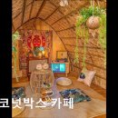 5427 | [홍대 맛집] 코코넛박스 카페 홍대 코코넛박스, 다양한 매력을 느껴보세요