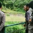 악어화장실 이미지