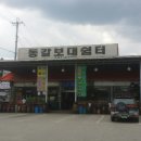 동갈보대 이미지