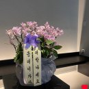 한국지엠덕소바로서비스 | 남양주세무서 세무서장 취임 축하난 소진플라워에서 배송 완료