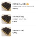 또또꼬마김밥4공단점 이미지