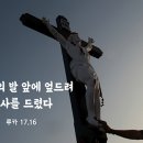 생활속의 모든것