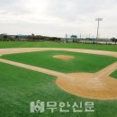 무안스포츠파크 야구장 이미지