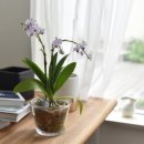 미니먼트 이미지