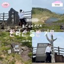 [여행기록] 등산 싫어 인간의 한라산 등반 후기 _ 성판악 코스 ⛰️