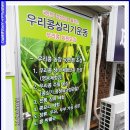 마디쪼