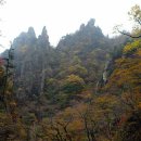 김천신용협동조합 이미지