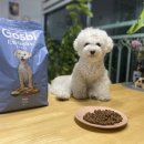 주식회사 지앤원 이미지