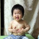 뚱이양이 이미지