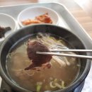 꽃곰탕 이미지