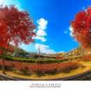 대청호 자연수변공원 이미지