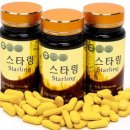 스타링 Daum카페