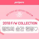 젤라또팔레트 이미지