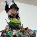 종달구경 이미지