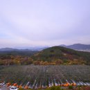 축령산농장 이미지