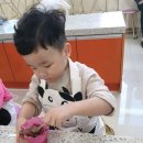 계룡목장 이미지