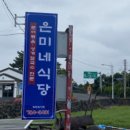 은미문어