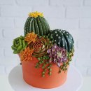 베어푸드 이미지