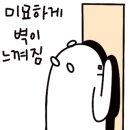 치유네일레푸스강릉 이미지
