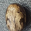 평화인문학, 평화를 다시 묻다 | 융합매핑 천기오술(天機五術) 심층분석(인문학)###