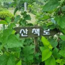 선샤인펜션 이미지