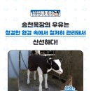 송천목장 이미지