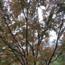 산아래 첫집 이미지