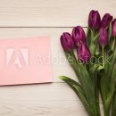 알파행정사 이미지