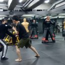 제로베이직스튜디오