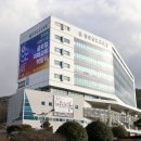 315 이미지