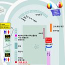 보성군보건소 | 25년 보성녹차마라톤 10km 참가 후기