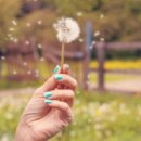 알레르기 이미지