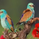 상암경로당 이미지