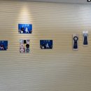 남현댕 애견미용 이미지