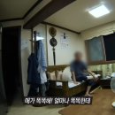 장미비디오 이미지