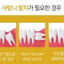 늘편한치과의원 이미지