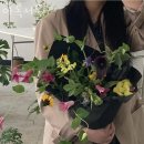 아록서울