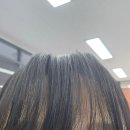 벨카 | 벨카 헤어 퀵 노세범 본품 솔직한 후기