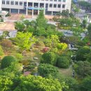 울산시청 이미지