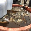 김재관 농장 이미지