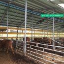 한국그린테크 이미지