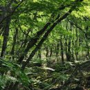 후방경로당 이미지