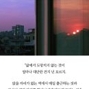 목감초등학교 이미지