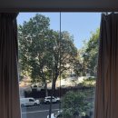 2022-주193 | [SYD] 시드니 10월 7박9일 자유여행 5️⃣일차ㅣ본다이비치ㅣ아이스버그 수영장ㅣTATATA PIZZAㅣANITAㅣ...