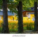 관인경로당 이미지