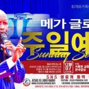 메가글로벌
