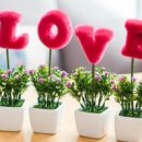 할매돼지국밥 이미지