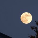 달이머무는집 이미지