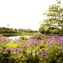 호숫가의 풍경 이미지