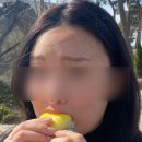 승호펫 | 3월 막주 나의 강릉여행 보실 분은 읽어보세요 (길다고 끝까지 안읽은사람은 댓글 다실 수 없습니다)